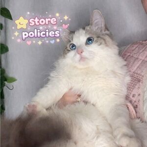 (Store Policies)💕 Do not Buy